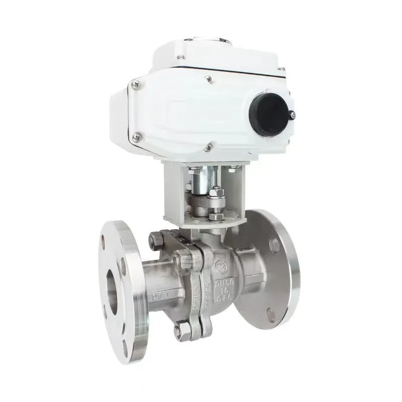 Electric immaculatam ferro Flange pila valvae